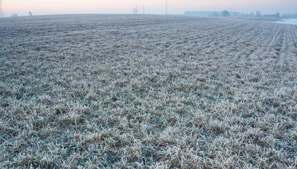 Vackert vinterlandskap fält — Stockfoto