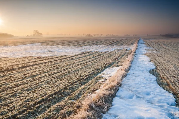 Krásná Zimní krajina pole — Stock fotografie