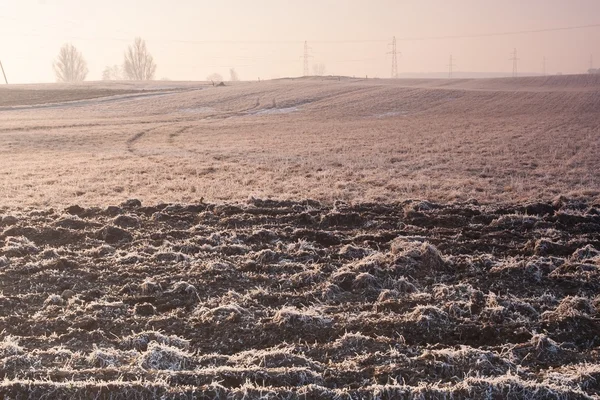 フィールドの美しい冬の景色 — ストック写真