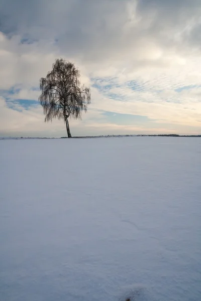 Bonita paisagem campo de inverno — Fotografia de Stock