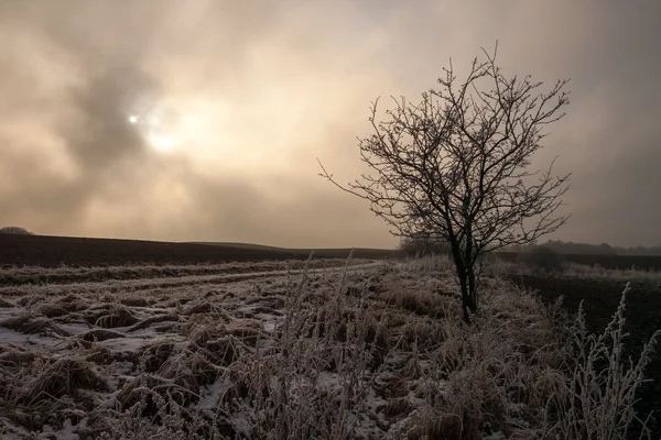 Bonita paisagem campo de inverno — Fotografia de Stock