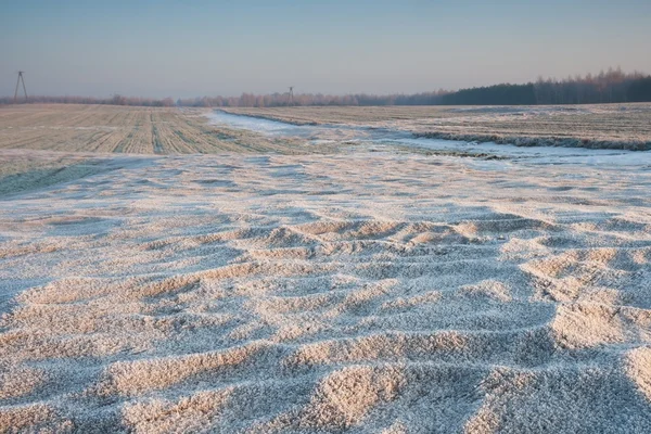 Piękny zimowy krajobraz pola — Zdjęcie stockowe