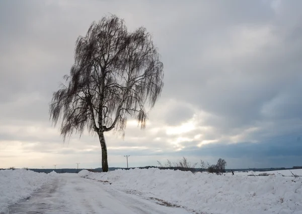 Schöne Winterlandschaft — Stockfoto