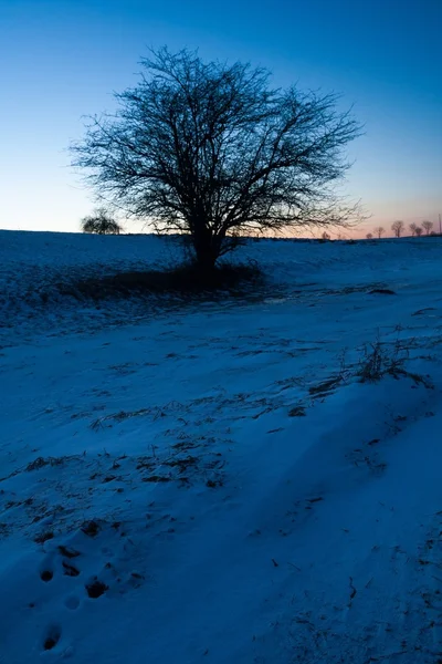 Красивий пейзаж зимового поля — стокове фото
