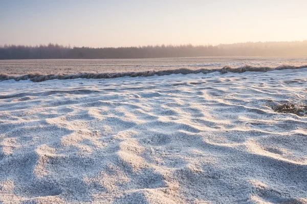 Hermoso paisaje de campo de invierno — Foto de Stock