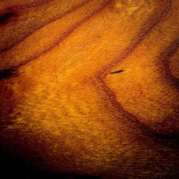 Förstört trä bakgrund med textur — Stockfoto