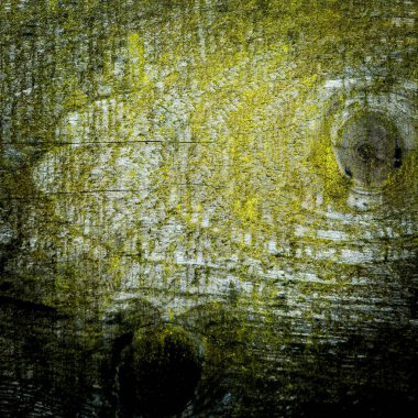 Ahşap arka plan doku ile yok