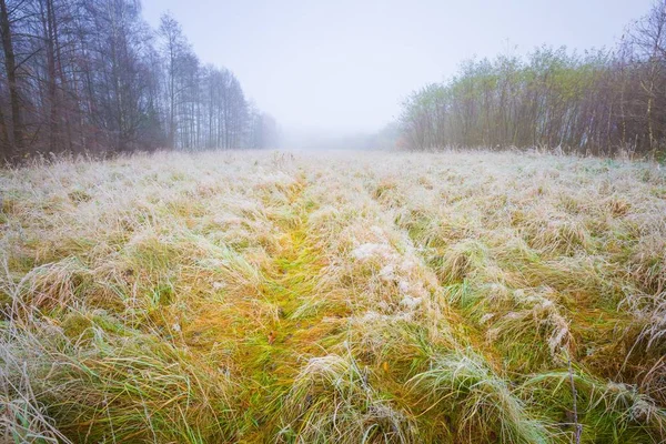 Gelido paesaggio mattutino — Foto Stock