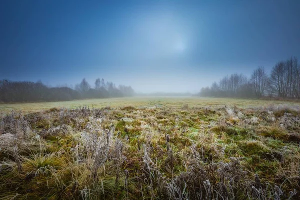 Frostige Morgenlandschaft — Stockfoto
