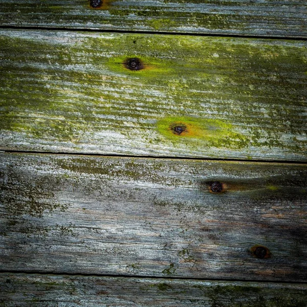 Fond en bois détruit avec texture — Photo