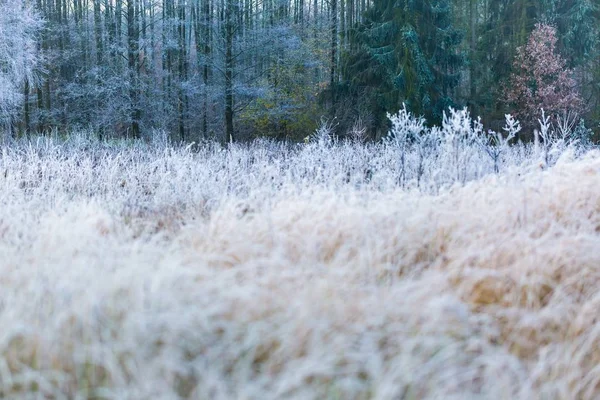 Mooie frosty ochtend op platteland — Stockfoto