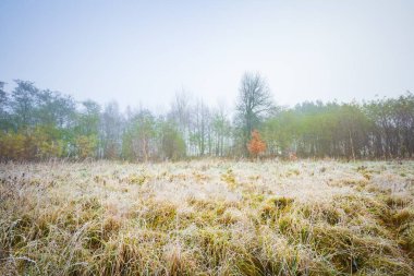 soğuk sabah manzara