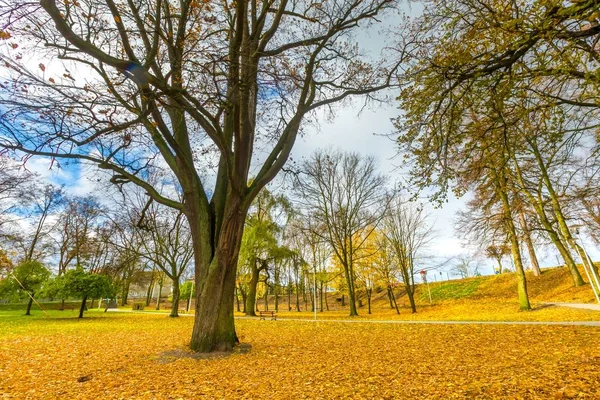 Colorful fall park in small city in Poland — Stock Photo, Image