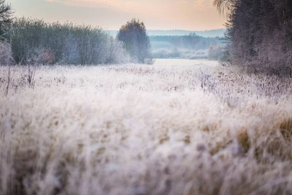 Bela manhã gelada no campo — Fotografia de Stock