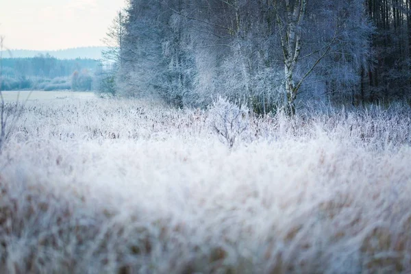 Mooie frosty ochtend op platteland — Stockfoto