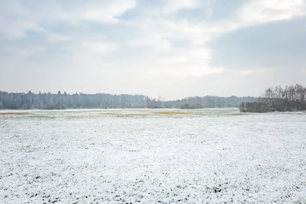 Paysage hivernal avec campagne enneigée — Photo