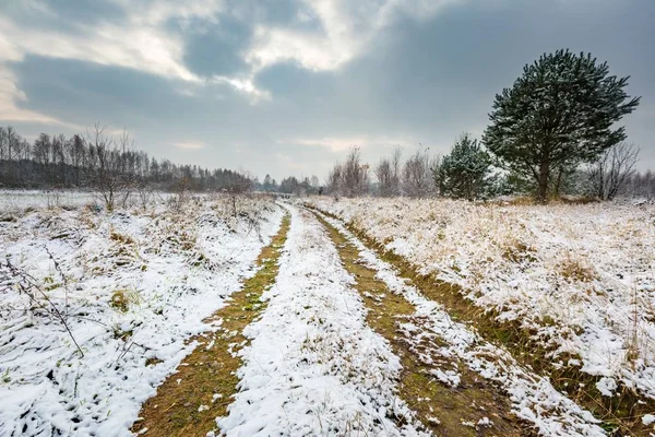 Paisagem de inverno com neve coberto campo — Fotografia de Stock