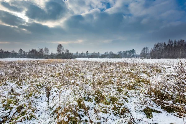 冬の風景雪に覆われた田園地帯 — ストック写真