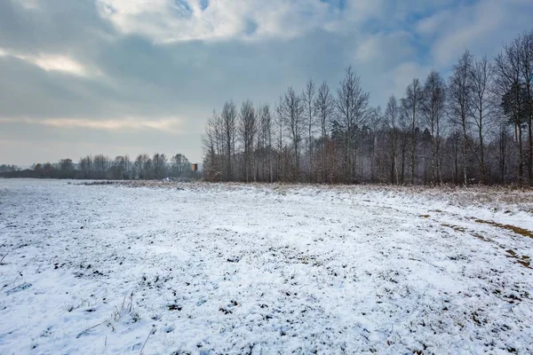 Paisagem de inverno com couro levantado e campo coberto de neve — Fotografia de Stock