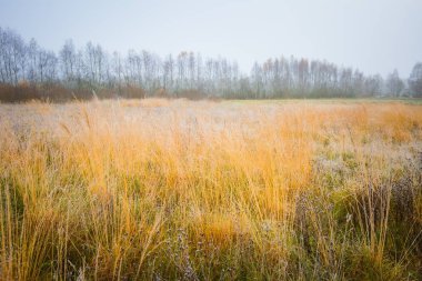 soğuk sabah manzara