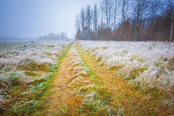 Frosty's ochtends landschap — Stockfoto