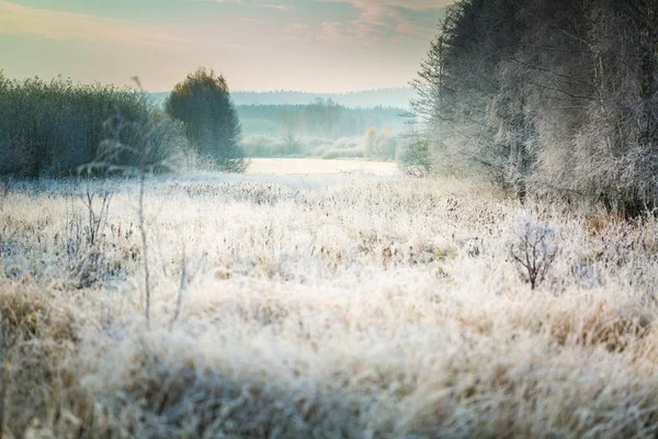 Gyönyörű fagyos reggel vidéken — Stock Fotó