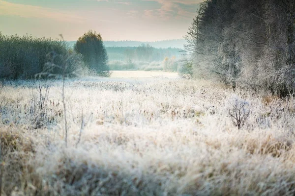 Belle matinée givrée à la campagne — Photo