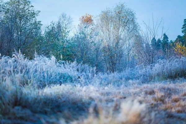 Mooie frosty ochtend op platteland — Stockfoto