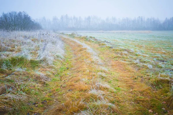 Gelido paesaggio mattutino — Foto Stock