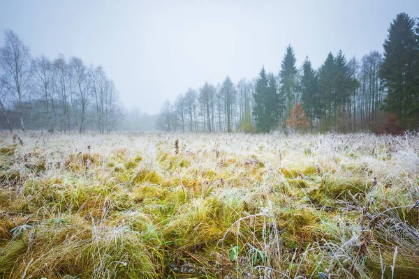 Frosty's ochtends landschap — Stockfoto