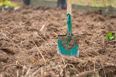 Bahçe toprakta çivilenmiş küreği