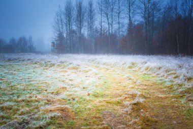 soğuk sabah manzara