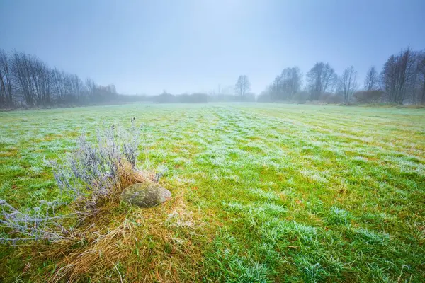 Frosty morning landscape — Stock Photo, Image