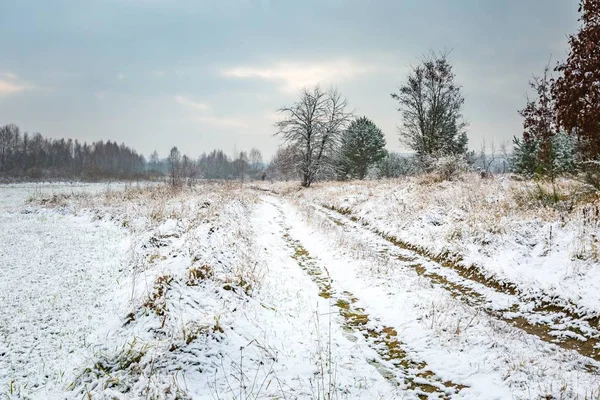 Zima Krajobraz snow obejmuje okolicę — Zdjęcie stockowe