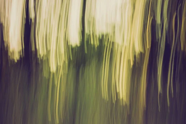 Abstract defocused background — Stock Photo, Image