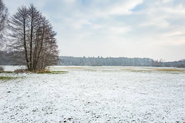 Paisagem de inverno com neve coberto campo Fotos De Bancos De Imagens Sem Royalties