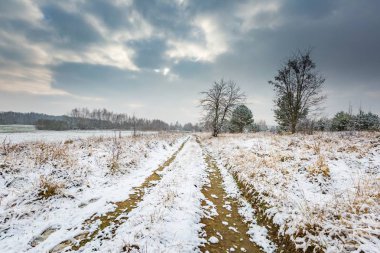 Kırsal kış manzara kar ile kaplı