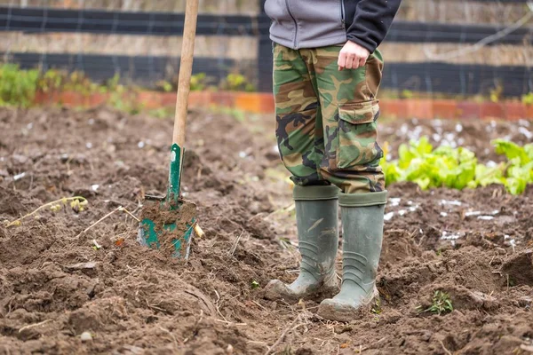 Homme creusant avec bêche dans le jardin — Photo