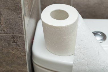 Rulo tuvalet kağıdı tuvalet rezervuar üzerinde duruyor