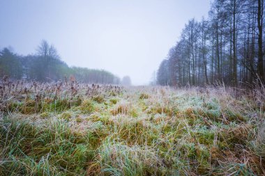 soğuk sabah manzara