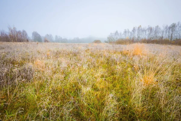 Mroźny poranek krajobraz — Zdjęcie stockowe