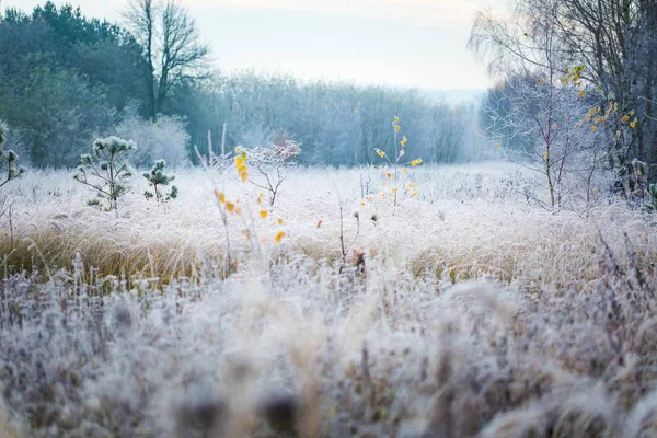 Beautiful frosty morning in countryside — Stock Photo, Image
