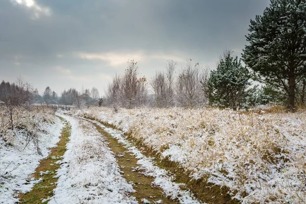 Zima Krajobraz snow obejmuje okolicę — Zdjęcie stockowe