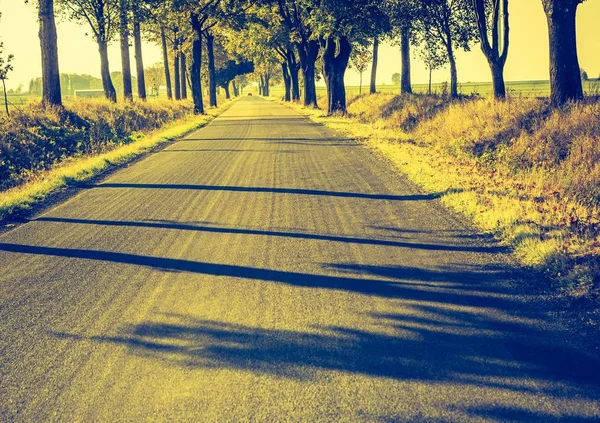 Vintage photo of landscape with asphalt road — Stock Photo, Image