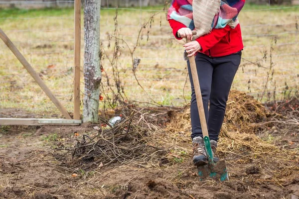 Vrouw graven met spade in tuin — Stockfoto