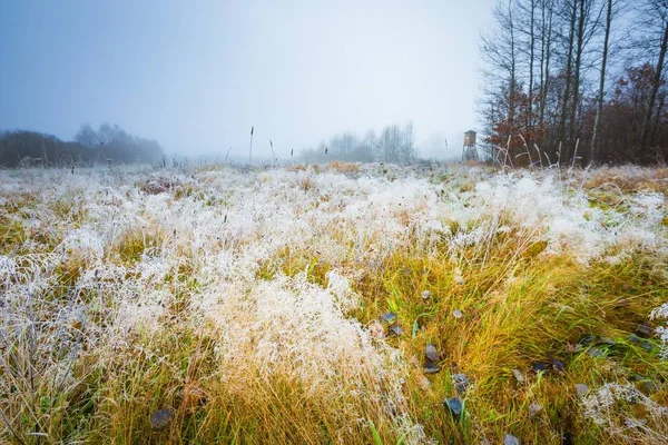 Frosty morning landscape and raised hide — Stock Photo, Image
