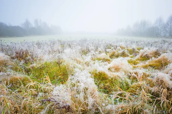 Frosty morning landscape — Stock Photo, Image