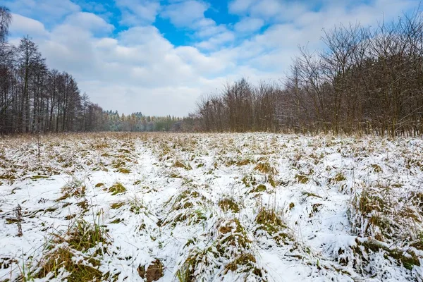 Winterlandschap met sneeuw bedekt landschap — Stockfoto