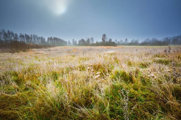 Paisaje de la mañana helada — Foto de Stock