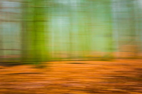 Forêt abstraite fond flou — Photo